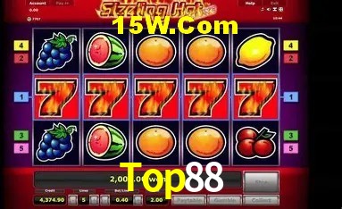 Sistemas de Segurança Top88