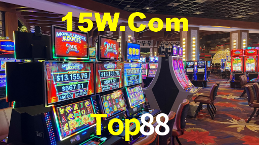 Programa VIP Top88